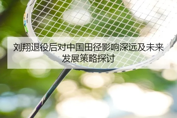 刘翔退役后对中国田径影响深远及未来发展策略探讨